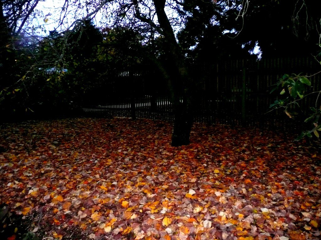 autumn leaves bed ©www.jenniferramirezbaulch.com