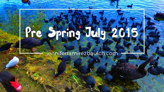 pre-spring-july-2015_pe