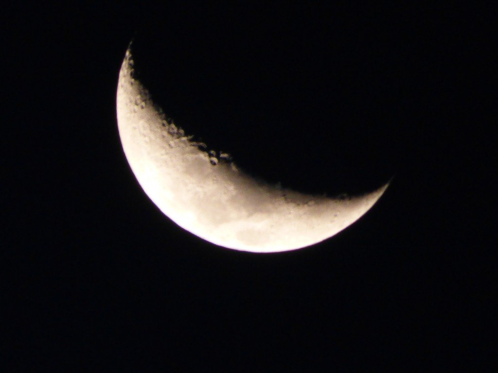 P1040617