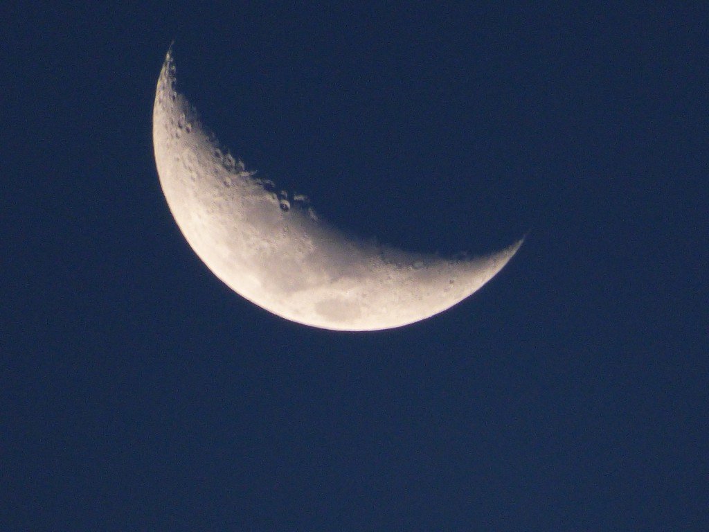 P1040567
