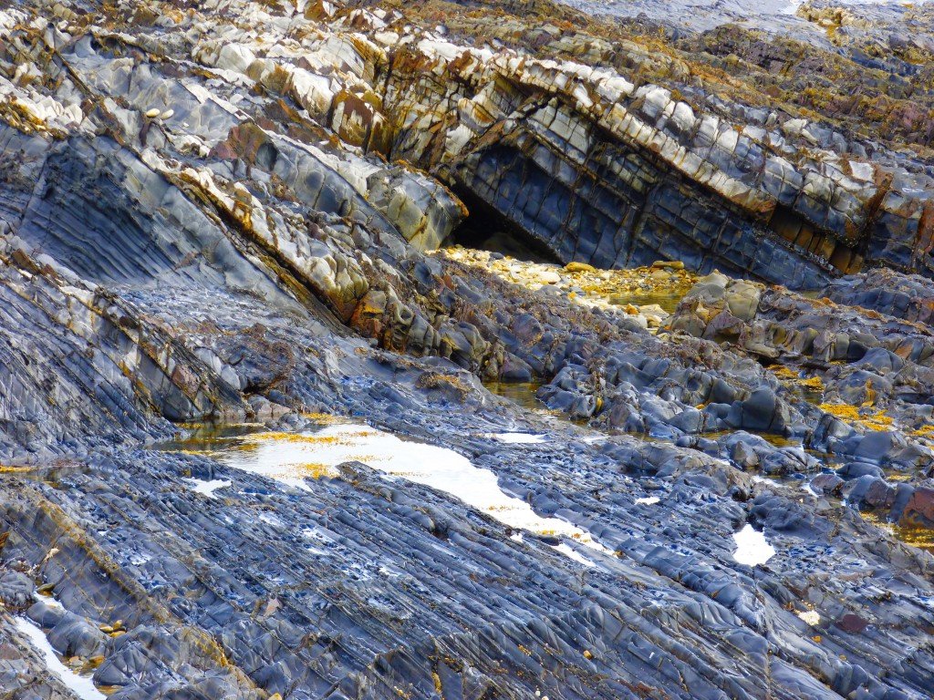 old fossil rocks via jenniferramirezbaulch.com