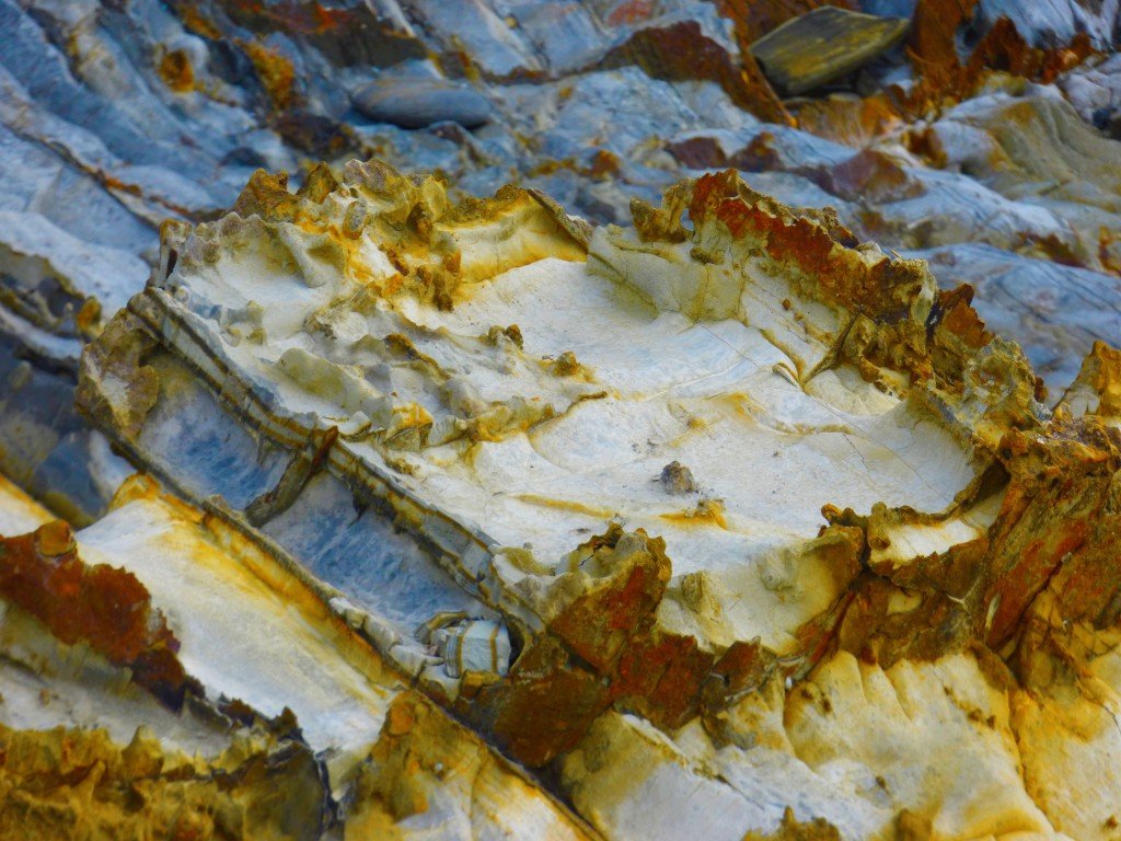 old fossil rocks via jenniferramirezbaulch.com