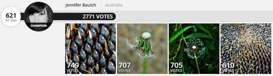 the_little_things_votes