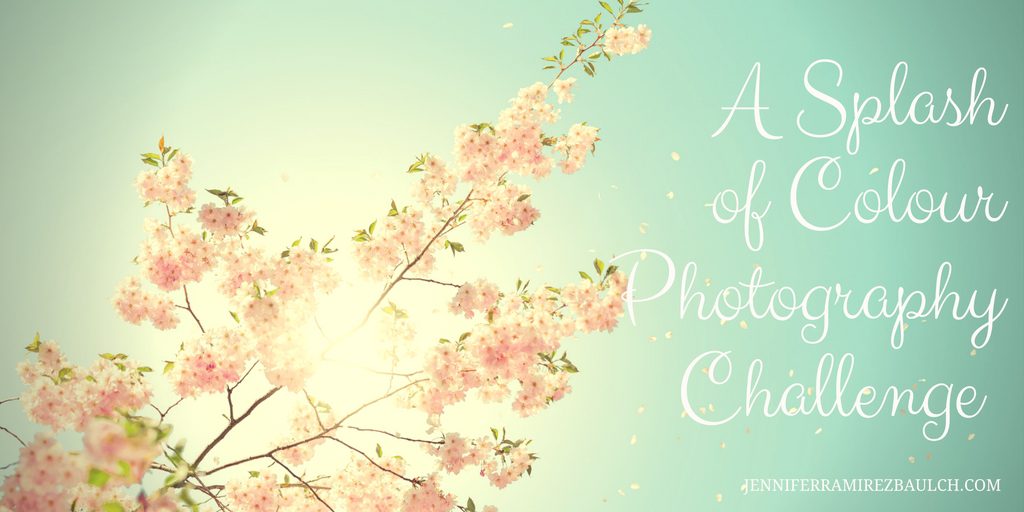A Splash of Colour Photography Challenge