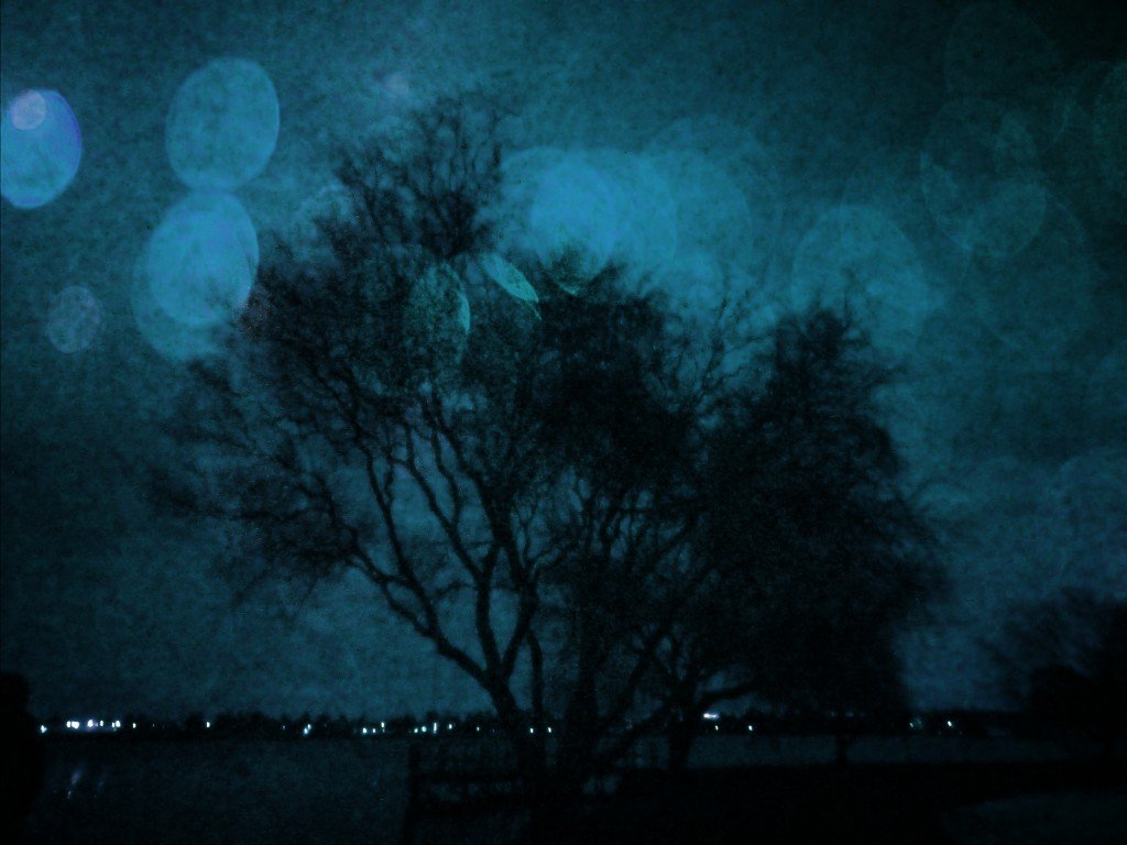 lake wendouree